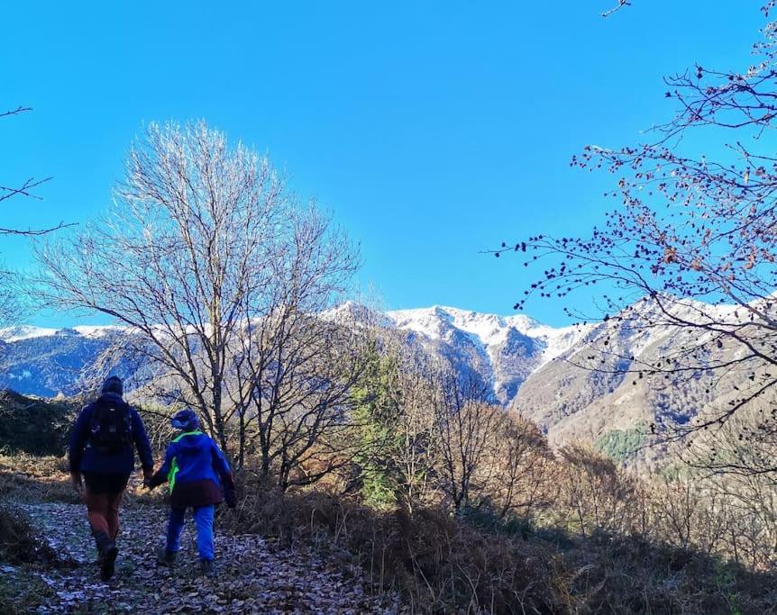 Maison 13 Pers A 10Mn De Luchon Cazaux-Layrisse Kültér fotó